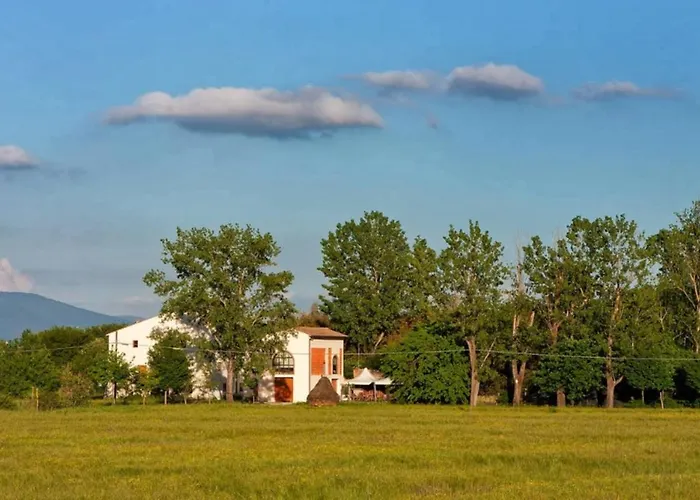 Casa Di Zela Guest house